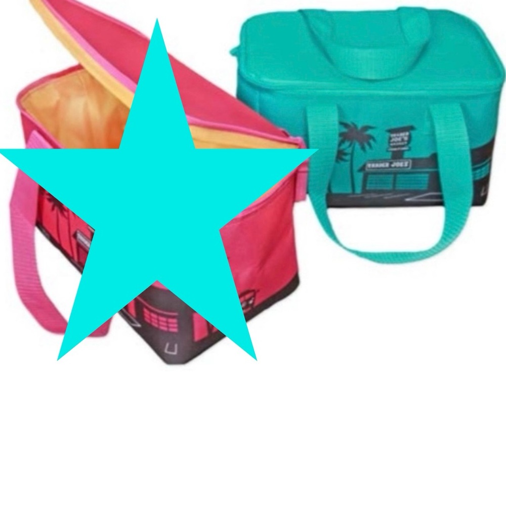 NWT Trader Joe’s Teal Mini Insulated Bag